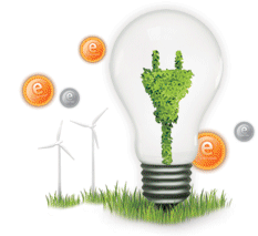 New Renewable Energy Business